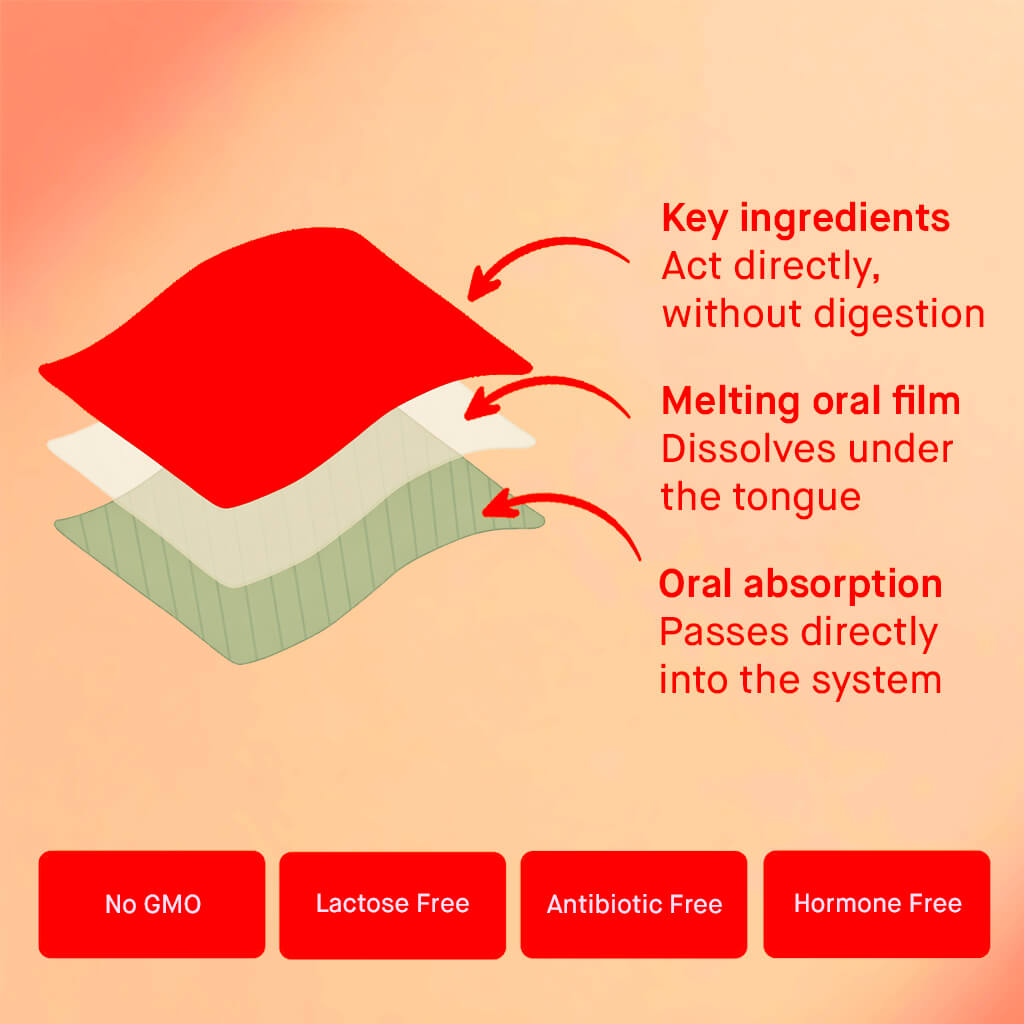 First Light Energy Strips