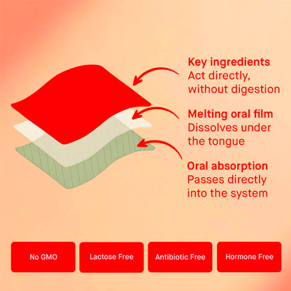 First Light Energy Strips