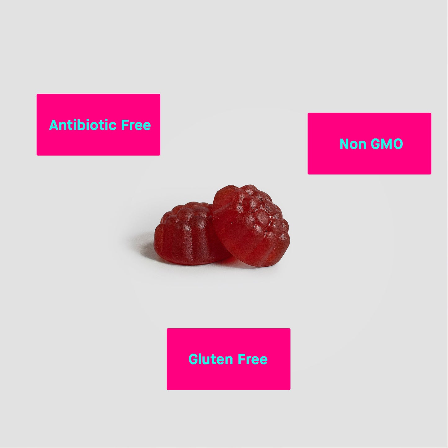 Joint Support Gummies (Adult)
