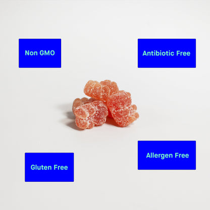 Multivitamin Bear Gummies (Adult)