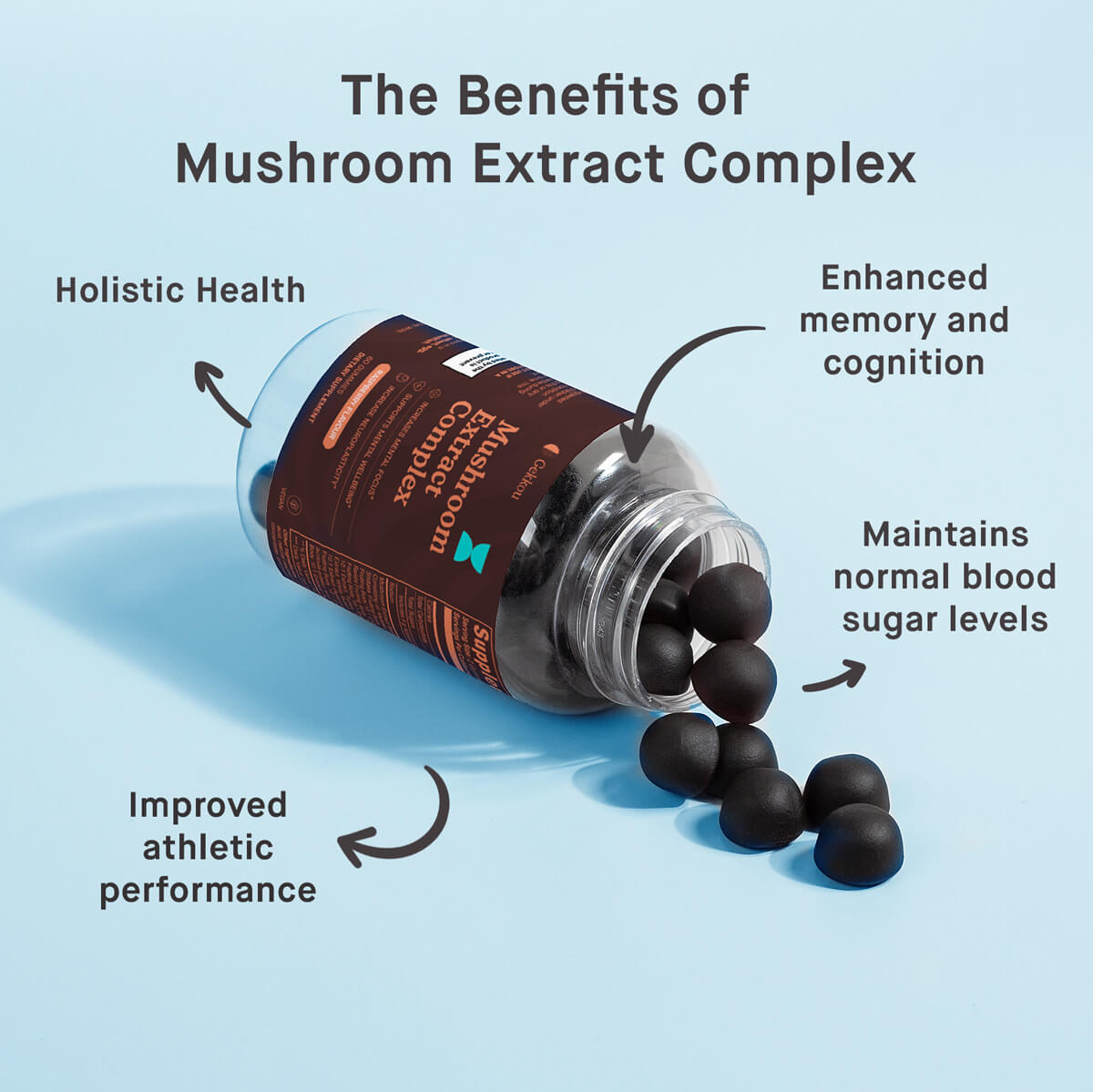 Mushroom Extract Complex