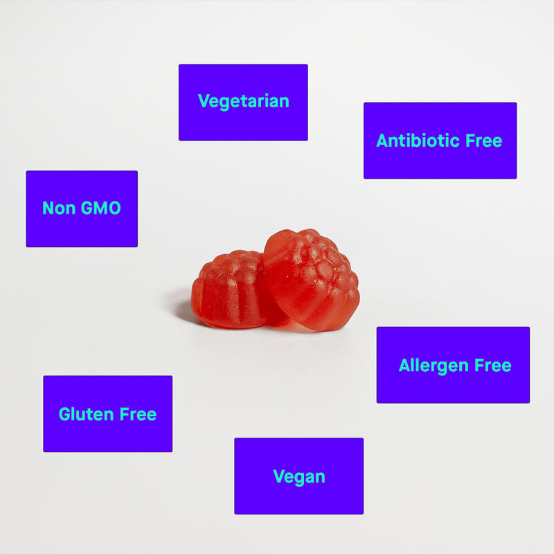 Sleep Well Gummies (Adult)